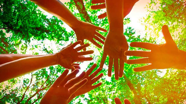 El sector social en Canarias, un pilar para la cohesión social